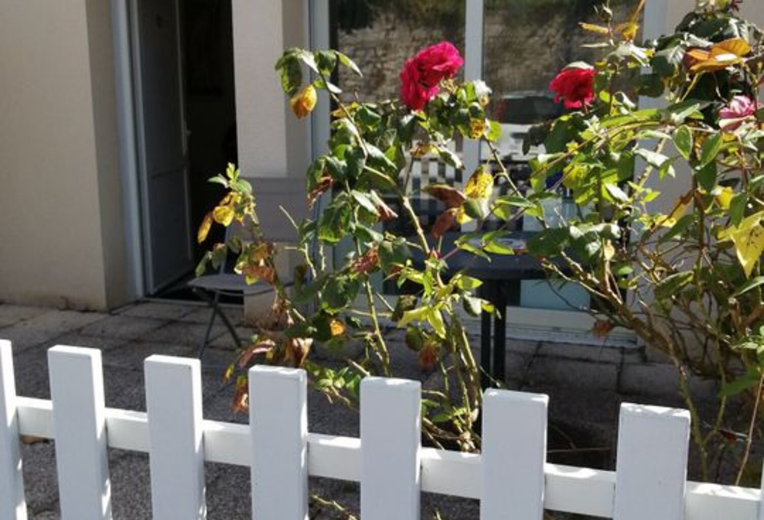 Studio de 23m2 à louer sur Angoulême — photo 1