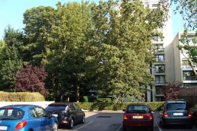 Appartement 1 pièces 474 €