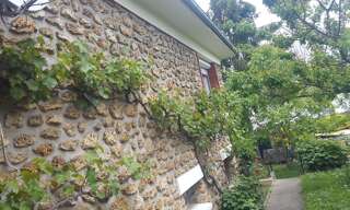 Photo N° 2