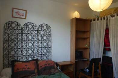 Appartement 1 pièces 450 €