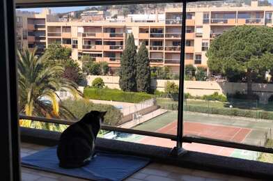 Appartement 2 pièces 800 €