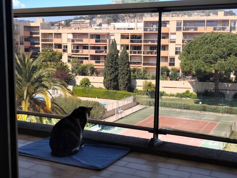 Appartement de 29m2 à louer sur Hyères — photo 1