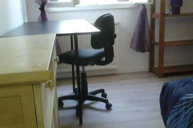 Appartement 1 pièces 360 €