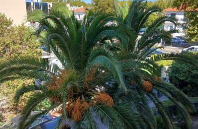 Appartement de 82m2 à louer sur Fréjus — photo du bien