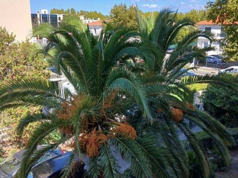 Appartement de 82m2 à louer sur Fréjus — photo 1