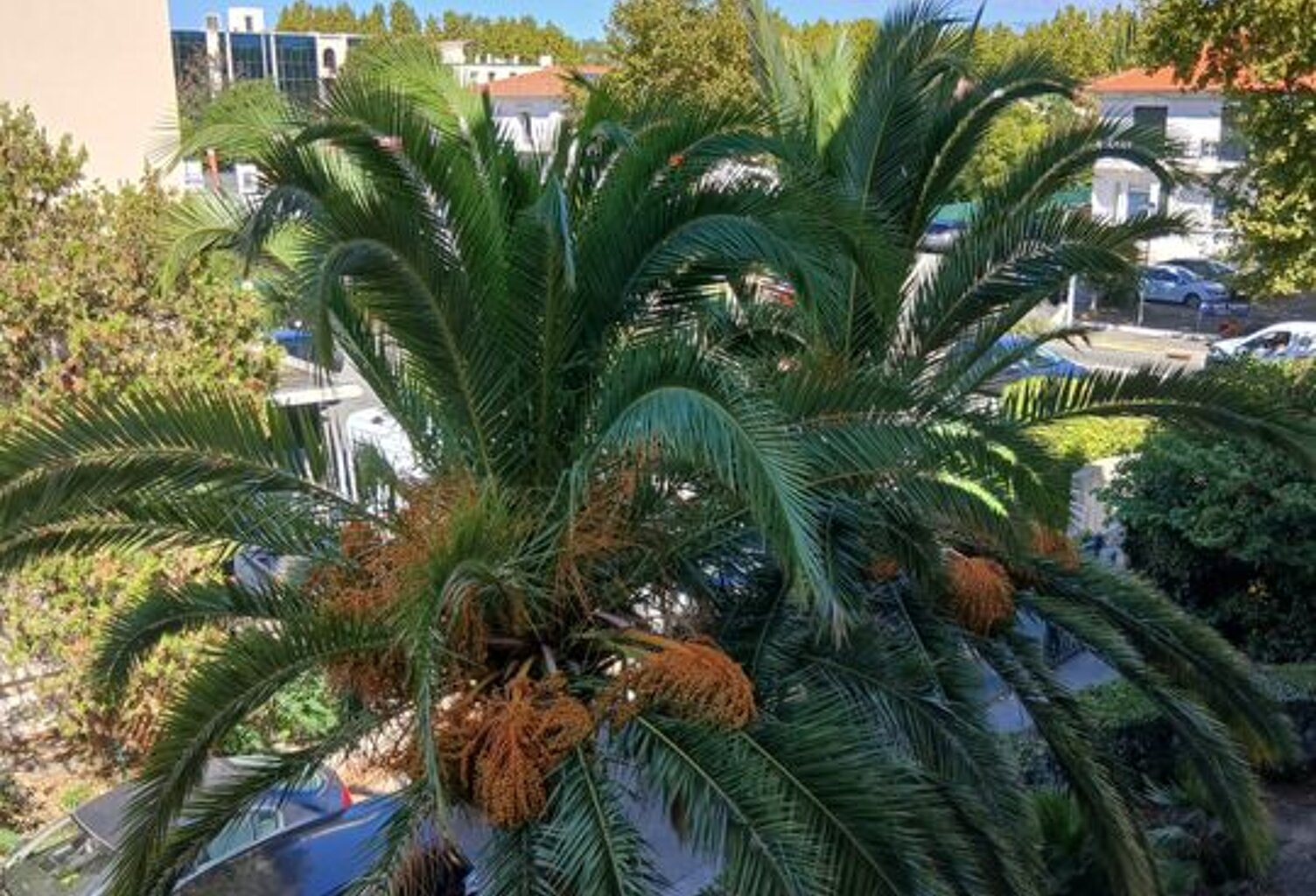 Appartement de 82m2 à louer sur Fréjus — photo 1
