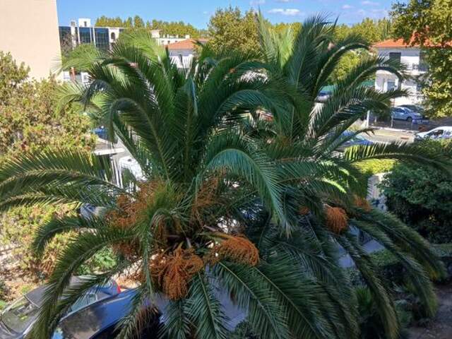 Appartement de 82m2 à louer sur Fréjus — photo du bien