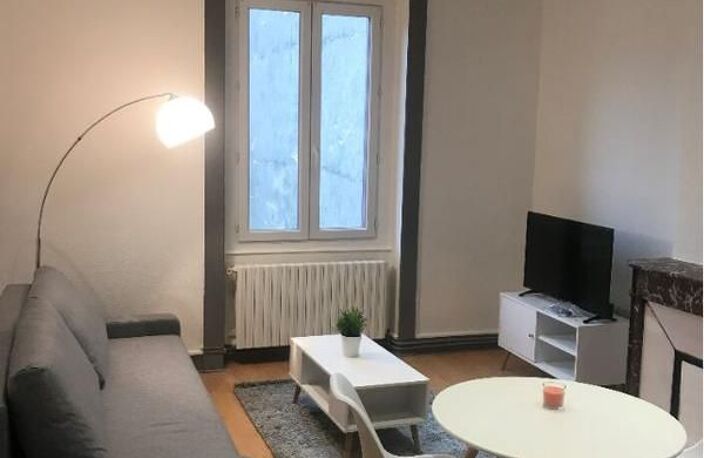 Appartement de 35m2 à louer sur Saint-Étienne — photo 2