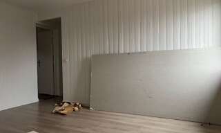 Appartement 3 Pièces 54 m² à louer à Gaillard (74240)