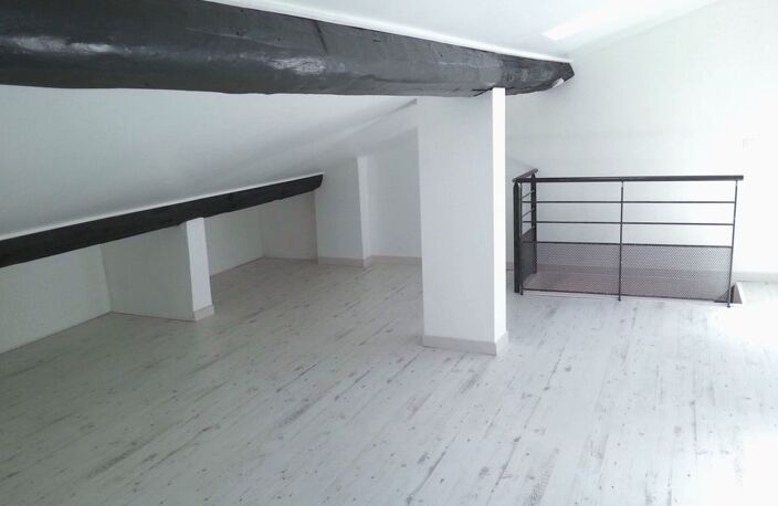 Appartement de 55m2 à louer sur Lyon 04 — photo 2
