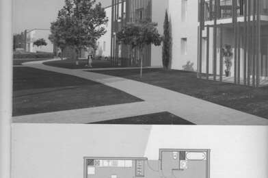 Appartement 3 pièces 1035 €