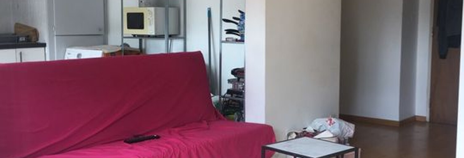 Appartement 2 Pièces 45 m² à louer à Mulhouse (68100)