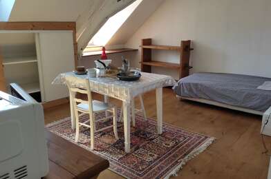 Appartement 1 pièces 480 €