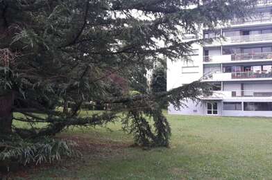 Appartement 1 pièces 420 €