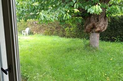 Appartement 1 pièces 250 €