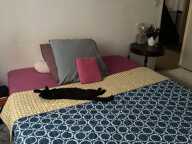 Maison de 222m2 à louer sur Cranves-Sales — photo 2