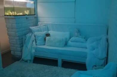 Appartement 1 pièces 580 €