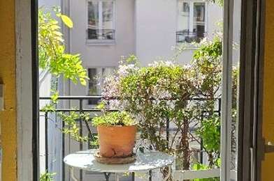 Appartement 1 pièces 650 €
