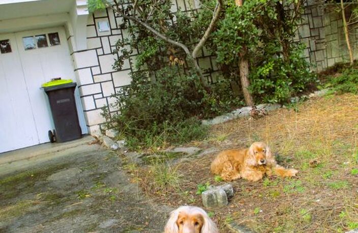 Maison de 65m2 à louer sur La Tremblade — photo 5