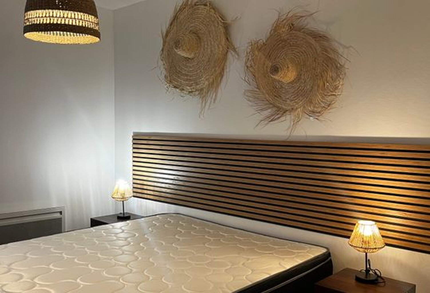 Appartement de 50m2 à louer sur Caluire-et-Cuire — photo 1