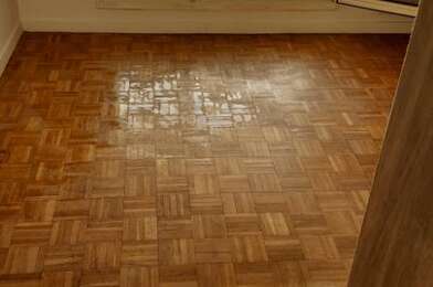 Appartement 2 pièces 900 €