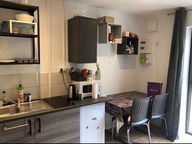 Studio de 17m2 à louer sur Bron — photo du bien
