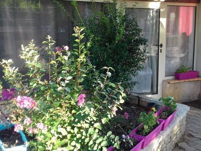 Studio de 25m2 à louer sur Vailhauquès — photo 1