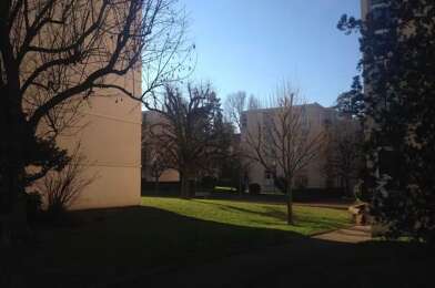 Appartement 3 pièces 900 €