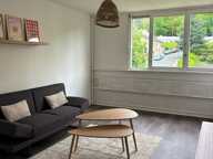 Appartement de 47m2 à louer sur Saint-Étienne — photo 3