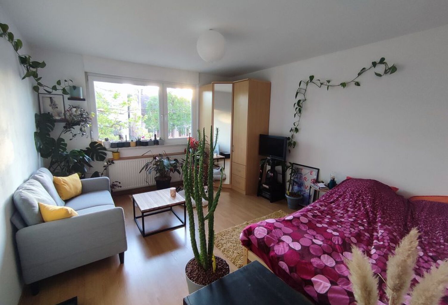 Studio de 31m2 à louer sur Strasbourg — photo 1