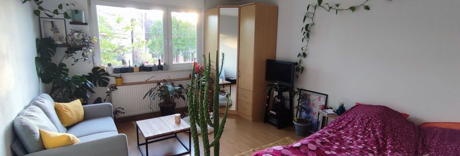 Appartement 1 Pièce 31 m² à louer à Strasbourg (67000)