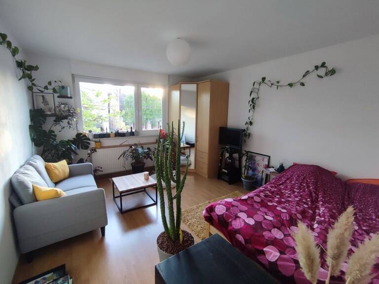 Studio de 31m2 à louer sur Strasbourg — photo 1
