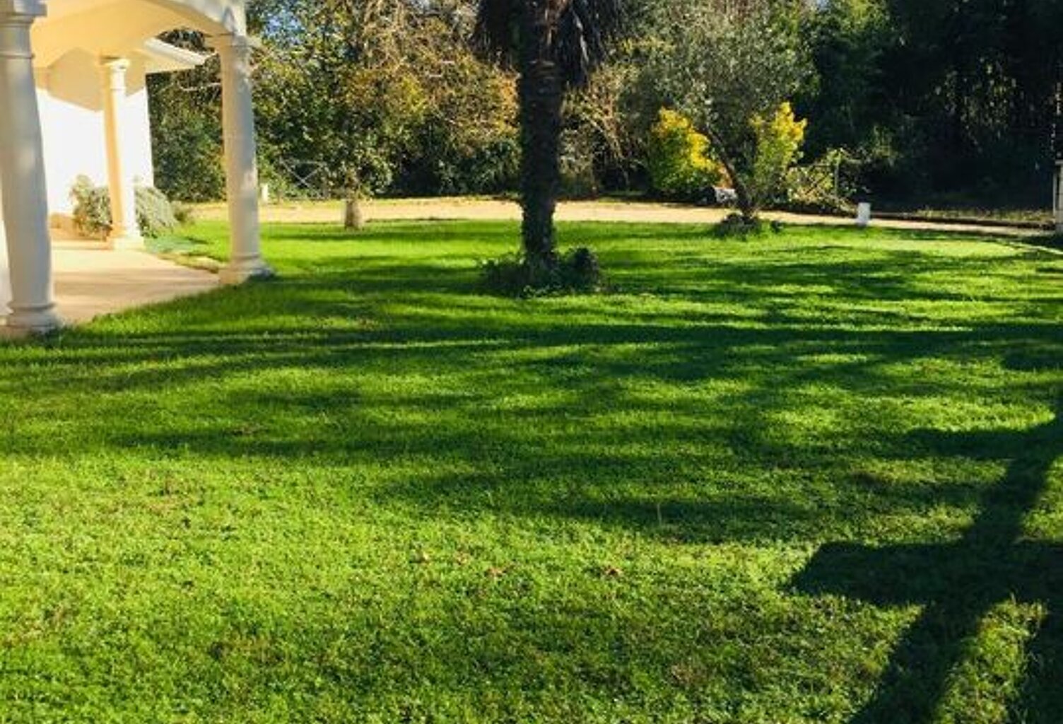 Maison de 180m2 à louer sur Léognan — photo 1