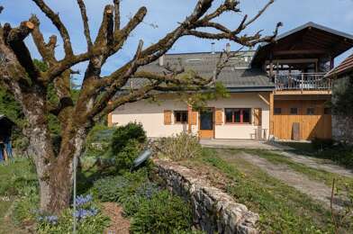 Appartement 5 pièces 1700 €