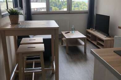Appartement 2 pièces 490 €