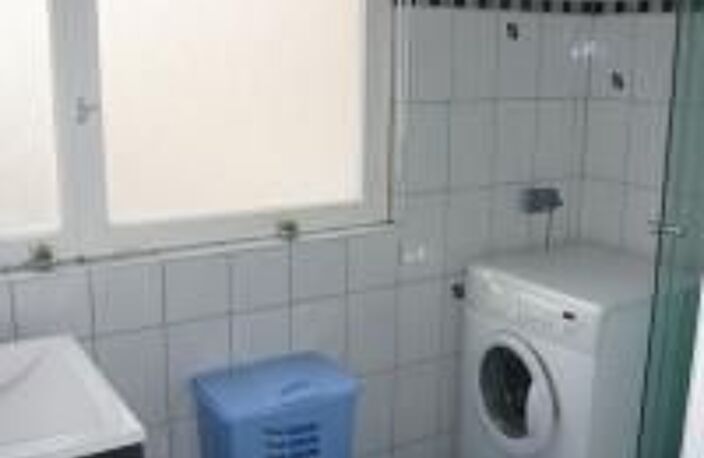 Studio de 19m2 à louer sur Guebwiller — photo 3