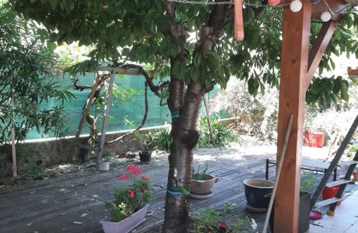 Chambre de 12m2 à louer sur Villeneuve-Loubet — photo 2