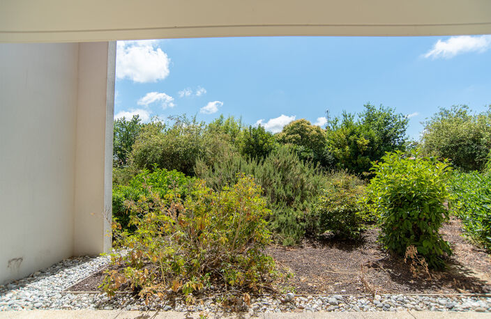 Exclusivité Boucau - Terrasse, verdure et sérénité — photo 4