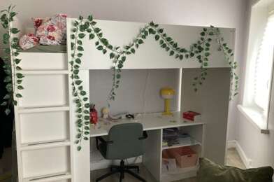 Appartement 1 pièces 570 €
