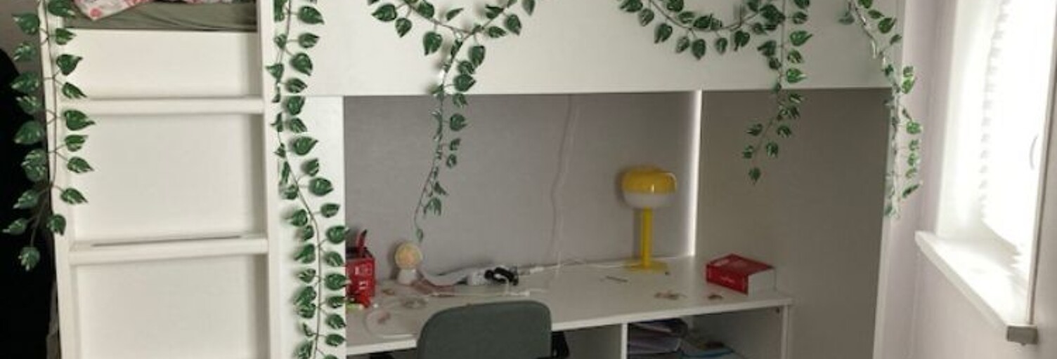 Appartement 1 Pièce 20 m² à louer à Lille (59000)