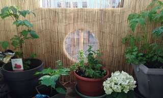 Appartement 3 Pièces 56 m² à louer à Vannes (56000)