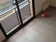 Appartement de 32m2 à louer sur Savigny-sur-Orge — photo 4