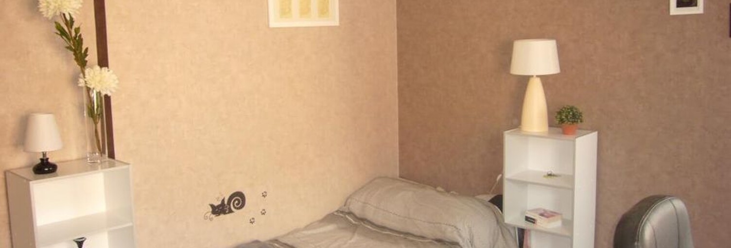 Appartement 1 Pièce 23 m² à louer à Strasbourg (67000)