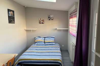 Appartement 1 pièces 530 €