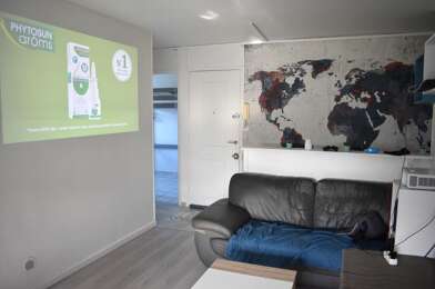 Appartement 5 pièces 420 €