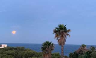 Appartement 5 Pièces 150 m² à louer à Saint-Cyr-sur-Mer (83270)