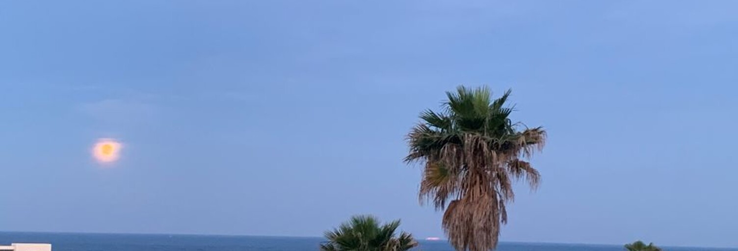 Appartement 5 Pièces 150 m² à louer à Saint-Cyr-sur-Mer (83270)