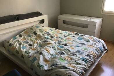 Appartement 1 pièces 300 €