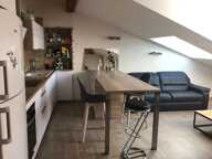 Appartement de 53m2 à louer sur Grenoble — photo 2