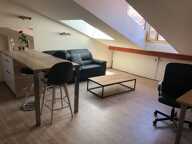 Appartement de 53m2 à louer sur Grenoble — photo 3